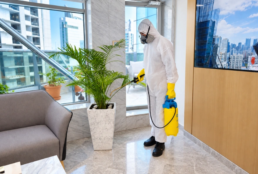 Pest control Dubai service for one-time treatment and annual maintenance